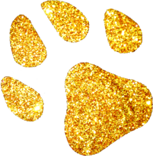 GlitterPaw Omnichannel Platform gold pawprint logo